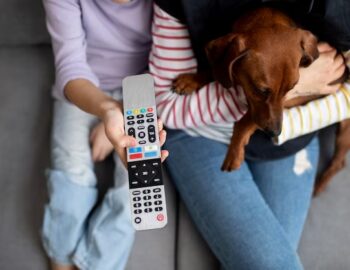 close-up-beautiful-dachshund-spending-time-with-family_23-2149202532